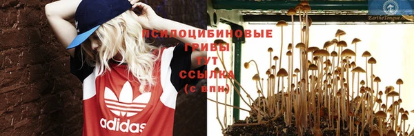 mdpv Удомля