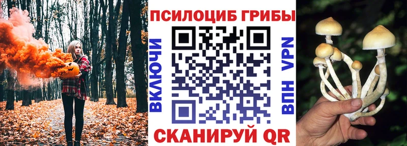 Псилоцибиновые грибы Psilocybine cubensis  купить наркоту  Новороссийск 